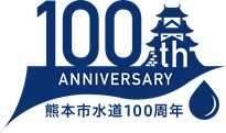 100NS